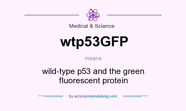 What does wtp53GFP mean? It stands for wild-type p53 and the green fluorescent protein