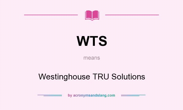 What does WTS mean? It stands for Westinghouse TRU Solutions