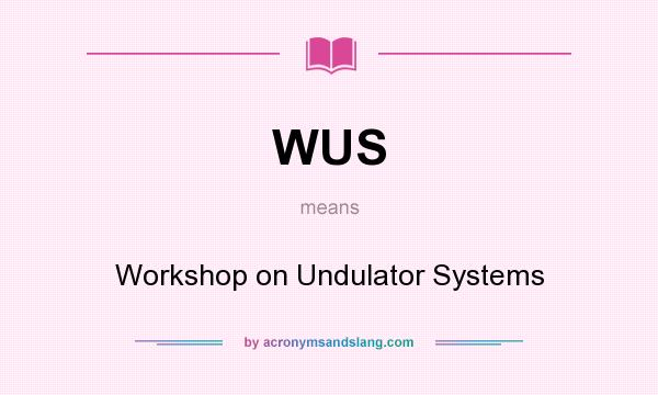 What does WUS mean? It stands for Workshop on Undulator Systems