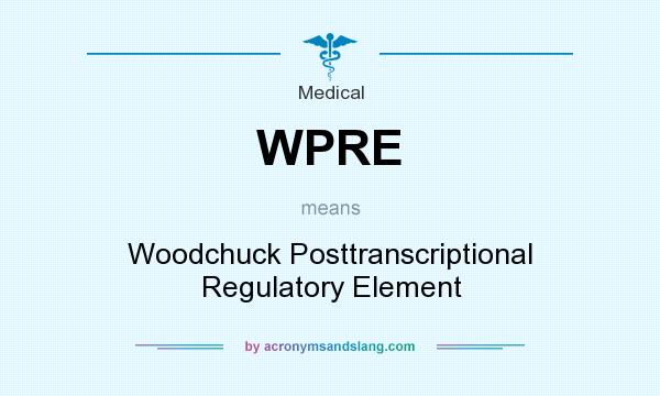 What does WPRE mean? It stands for Woodchuck Posttranscriptional Regulatory Element