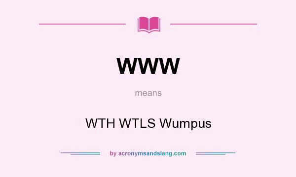 What does WWW mean? It stands for WTH WTLS Wumpus