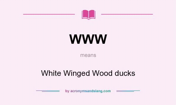 What does WWW mean? It stands for White Winged Wood ducks