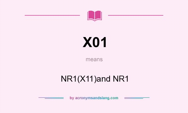 What does X01 mean? It stands for NR1(X11)and NR1