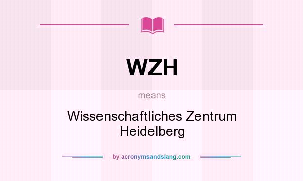 What does WZH mean? It stands for Wissenschaftliches Zentrum Heidelberg