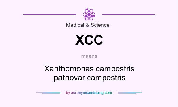 What does XCC mean? It stands for Xanthomonas campestris pathovar campestris