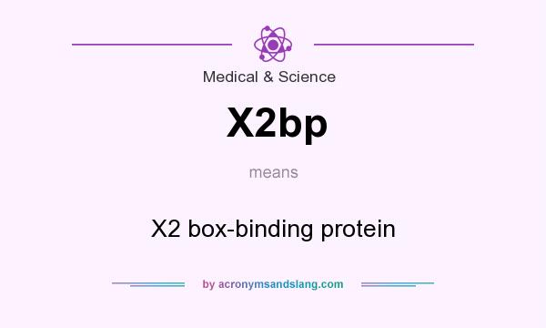 What does X2bp mean? It stands for X2 box-binding protein
