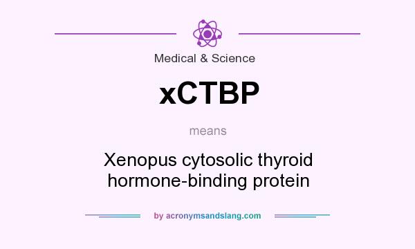 What does xCTBP mean? It stands for Xenopus cytosolic thyroid hormone-binding protein