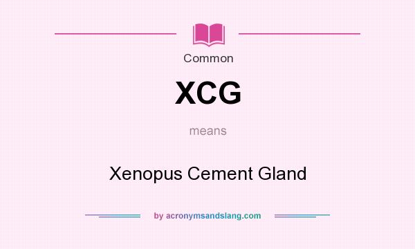 What does XCG mean? It stands for Xenopus Cement Gland