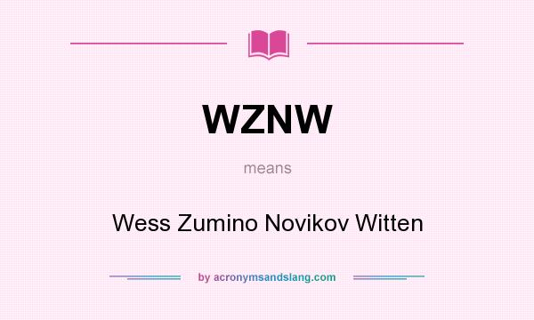 What does WZNW mean? It stands for Wess Zumino Novikov Witten