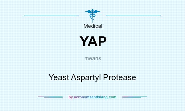 What does YAP mean? It stands for Yeast Aspartyl Protease