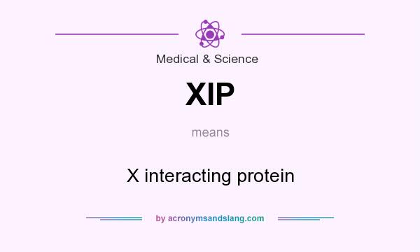 What does XIP mean? It stands for X interacting protein
