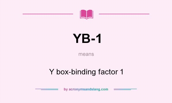 What does YB-1 mean? It stands for Y box-binding factor 1