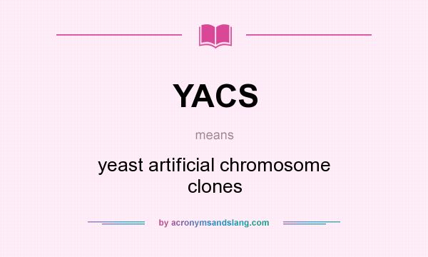 What does YACS mean? It stands for yeast artificial chromosome clones