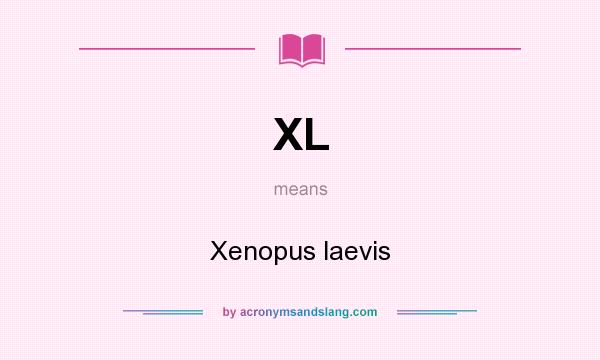 What does XL mean? It stands for Xenopus laevis
