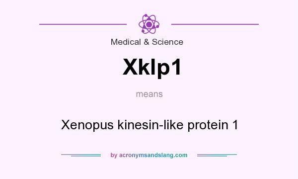 What does Xklp1 mean? It stands for Xenopus kinesin-like protein 1