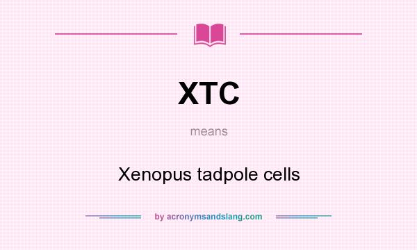 What does XTC mean? It stands for Xenopus tadpole cells