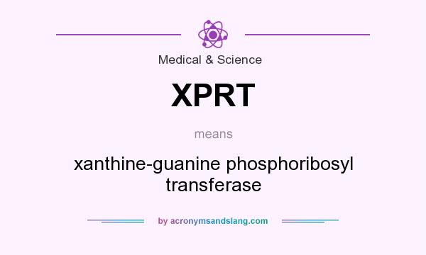 What does XPRT mean? It stands for xanthine-guanine phosphoribosyl transferase