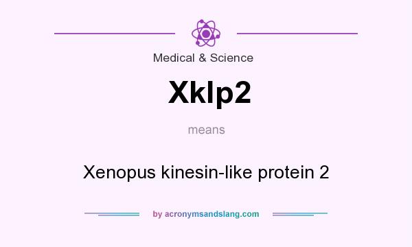 What does Xklp2 mean? It stands for Xenopus kinesin-like protein 2