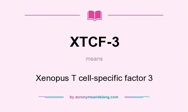 What does XTCF-3 mean? It stands for Xenopus T cell-specific factor 3