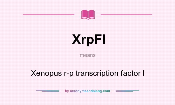 What does XrpFI mean? It stands for Xenopus r-p transcription factor I