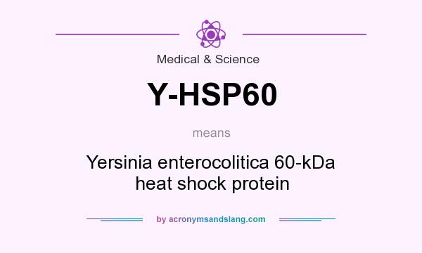What does Y-HSP60 mean? It stands for Yersinia enterocolitica 60-kDa heat shock protein
