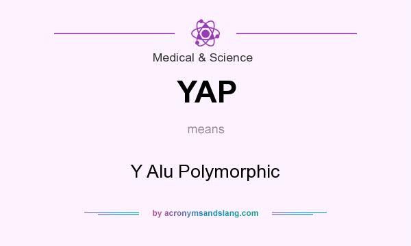 What does YAP mean? It stands for Y Alu Polymorphic