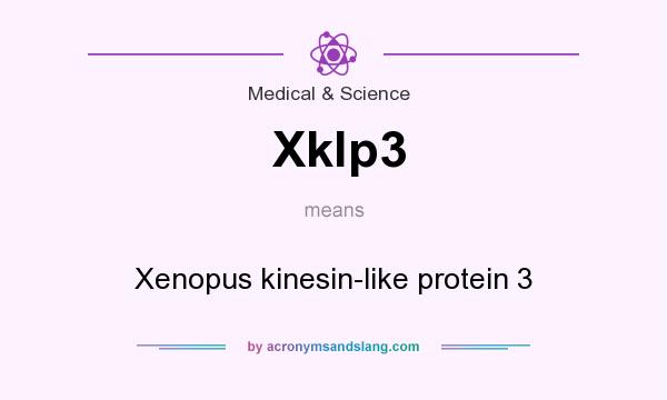 What does Xklp3 mean? It stands for Xenopus kinesin-like protein 3