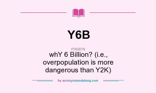What does Y6B mean? It stands for whY 6 Billion? (i.e., overpopulation is more dangerous than Y2K)