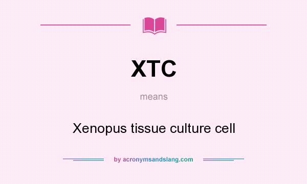 What does XTC mean? It stands for Xenopus tissue culture cell