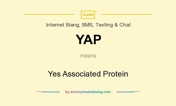What does YAP mean? It stands for Yes Associated Protein