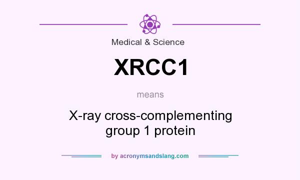 What does XRCC1 mean? It stands for X-ray cross-complementing group 1 protein