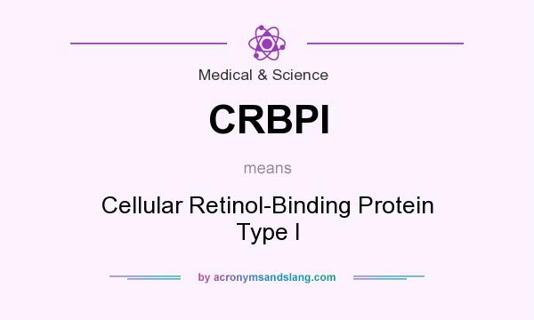 What does CRBPI mean? It stands for Cellular Retinol-Binding Protein Type I