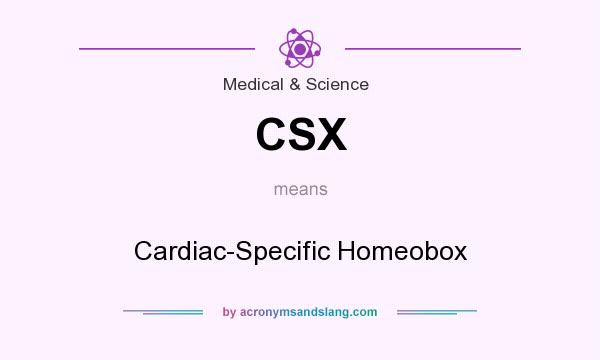 What does CSX mean? It stands for Cardiac-Specific Homeobox