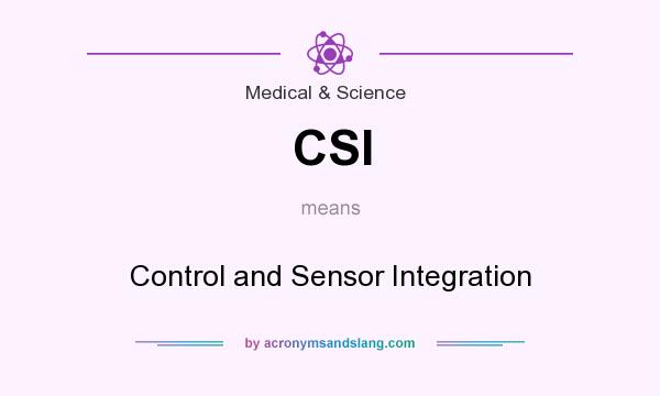 What does CSI mean? It stands for Control and Sensor Integration