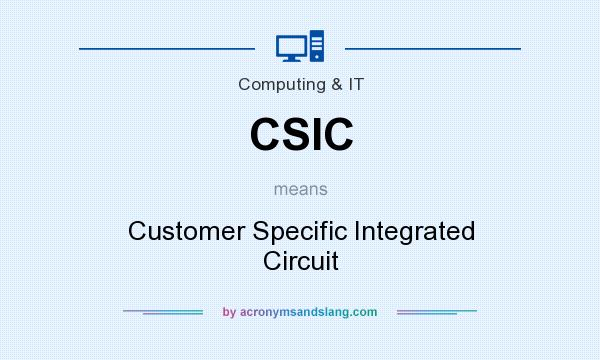 What does CSIC mean? It stands for Customer Specific Integrated Circuit