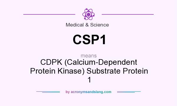 What does CSP1 mean? It stands for CDPK (Calcium-Dependent Protein Kinase) Substrate Protein 1