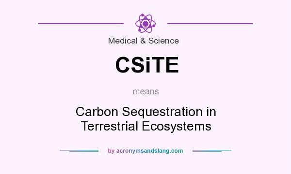 What does CSiTE mean? It stands for Carbon Sequestration in Terrestrial Ecosystems