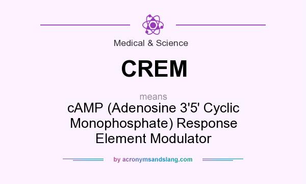 What does CREM mean? It stands for cAMP (Adenosine 3`5` Cyclic Monophosphate) Response Element Modulator