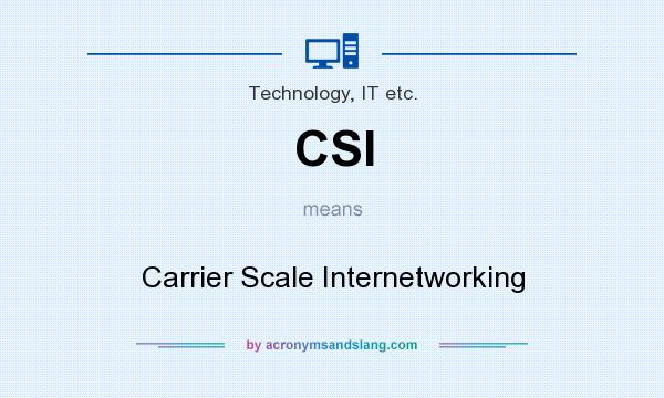What does CSI mean? It stands for Carrier Scale Internetworking