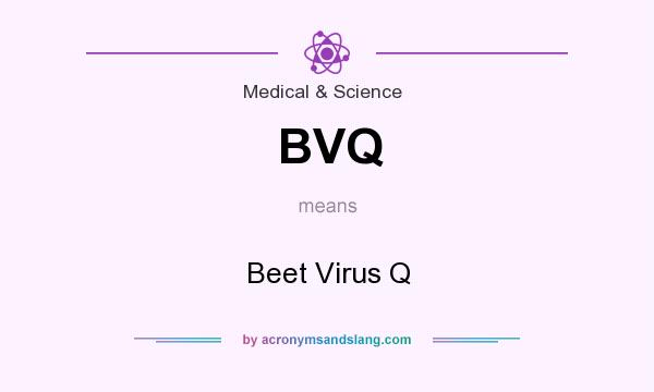 What does BVQ mean? It stands for Beet Virus Q