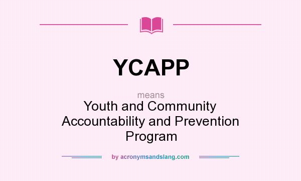What does YCAPP mean? It stands for Youth and Community Accountability and Prevention Program