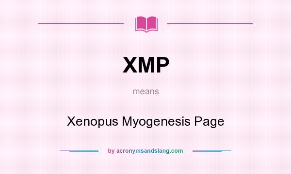 What does XMP mean? It stands for Xenopus Myogenesis Page