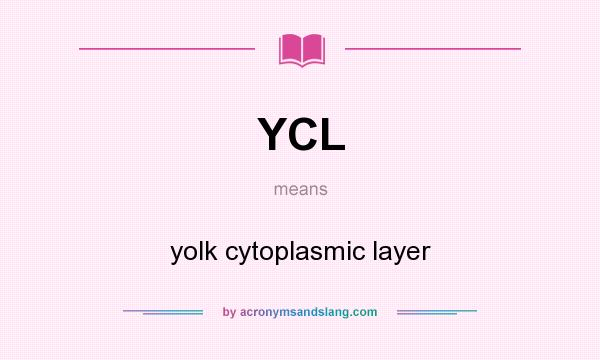 What does YCL mean? It stands for yolk cytoplasmic layer