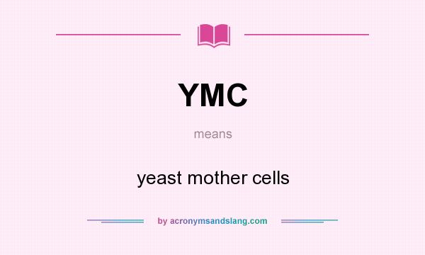 What does YMC mean? It stands for yeast mother cells