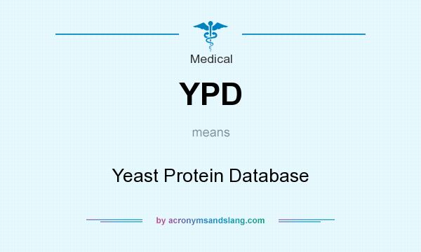 What does YPD mean? It stands for Yeast Protein Database
