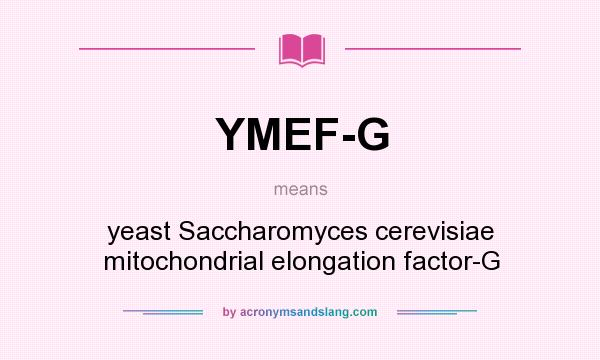 What does YMEF-G mean? It stands for yeast Saccharomyces cerevisiae mitochondrial elongation factor-G