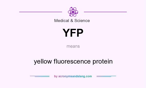 What does YFP mean? It stands for yellow fluorescence protein