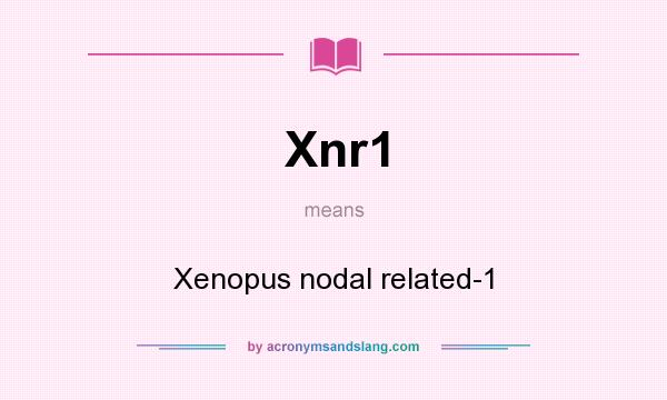What does Xnr1 mean? It stands for Xenopus nodal related-1