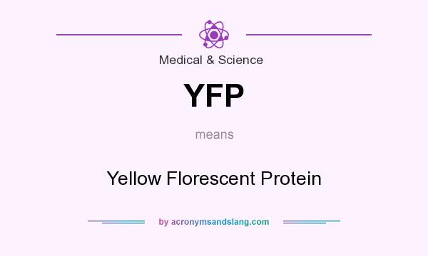 What does YFP mean? It stands for Yellow Florescent Protein