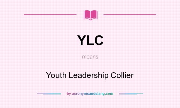 What does YLC mean? It stands for Youth Leadership Collier